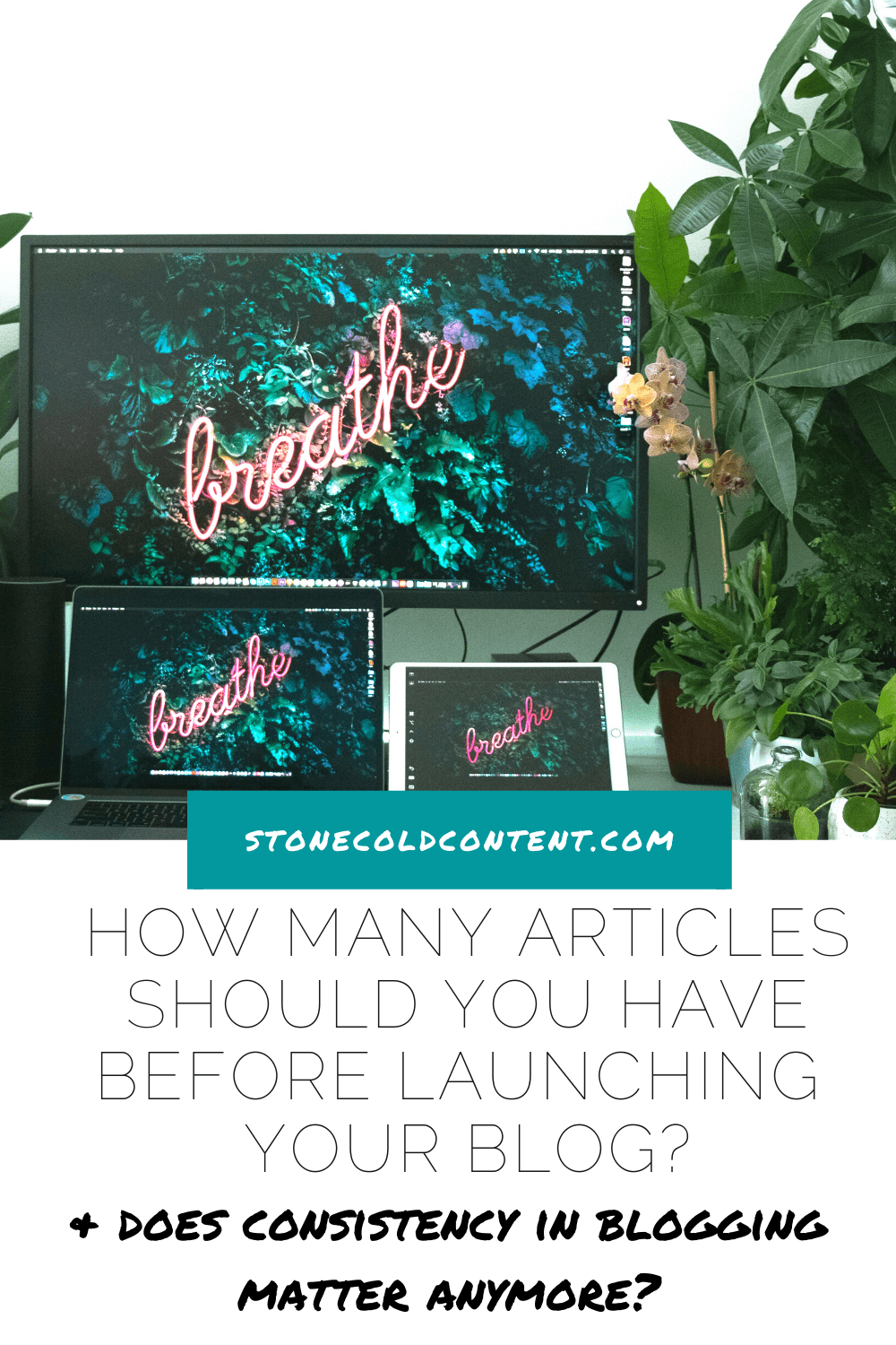 How many posts should I have before I launch my blog? Stone Cold Content